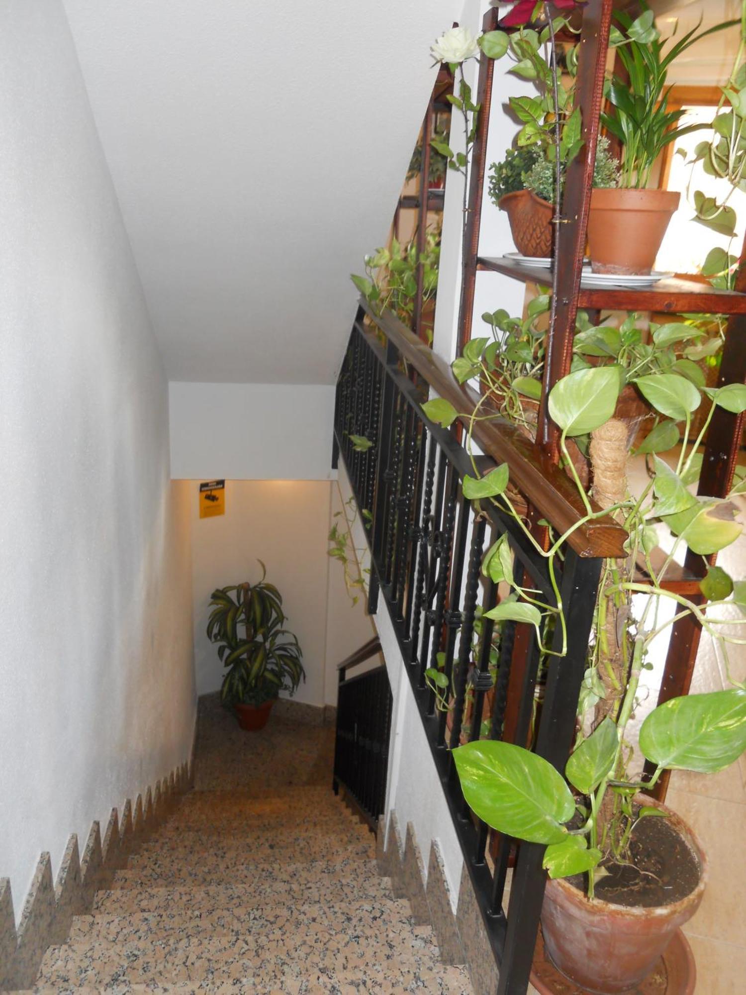 מדריד Hostal El Descanso מראה חיצוני תמונה